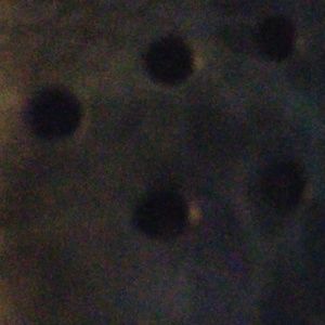 Meet your Posher, Jack